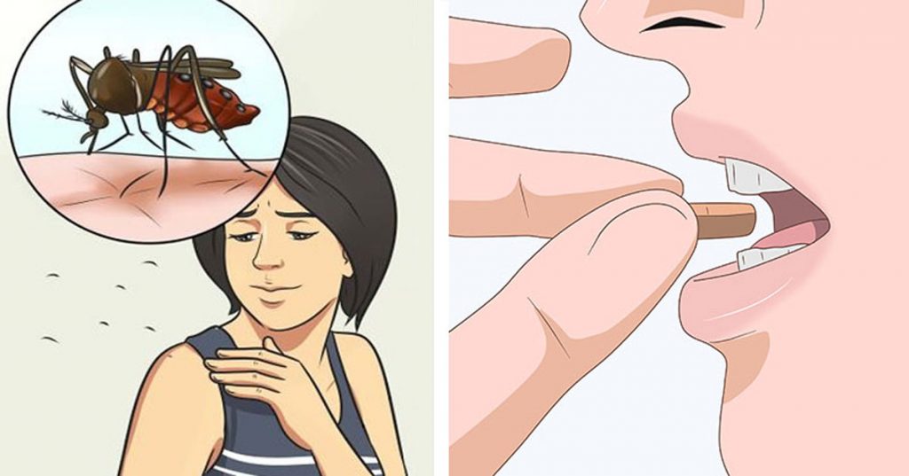 Tome esta vitamina para repeler los mosquitos durante todo el largo verano