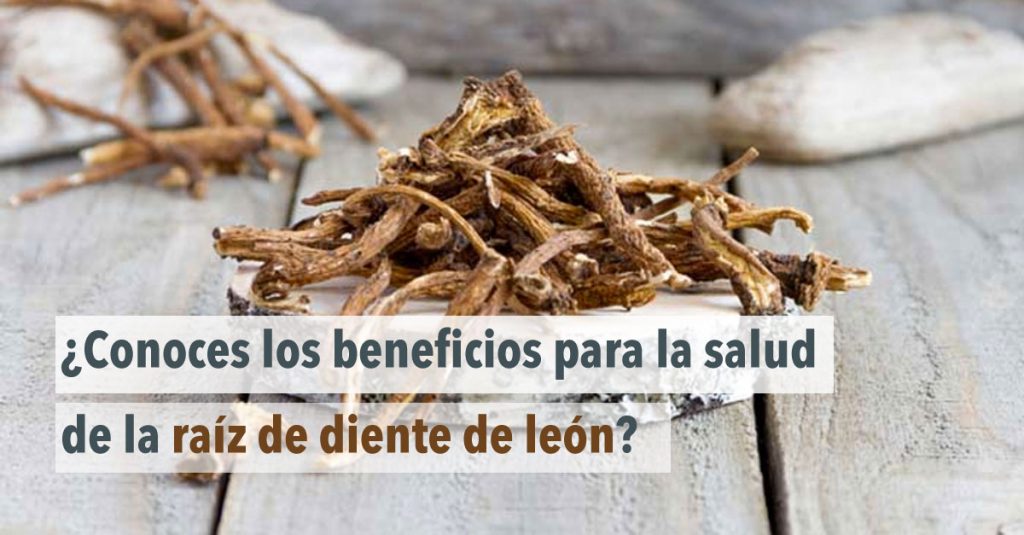 ¿Conoces los beneficios para la salud de la raíz de diente de león?