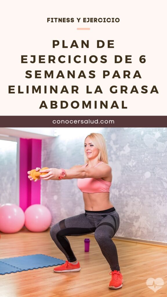 Plan De Ejercicios De 6 Semanas Para Eliminar La Grasa Abdominal 2729